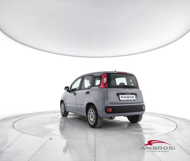 FIAT Panda usata 3
