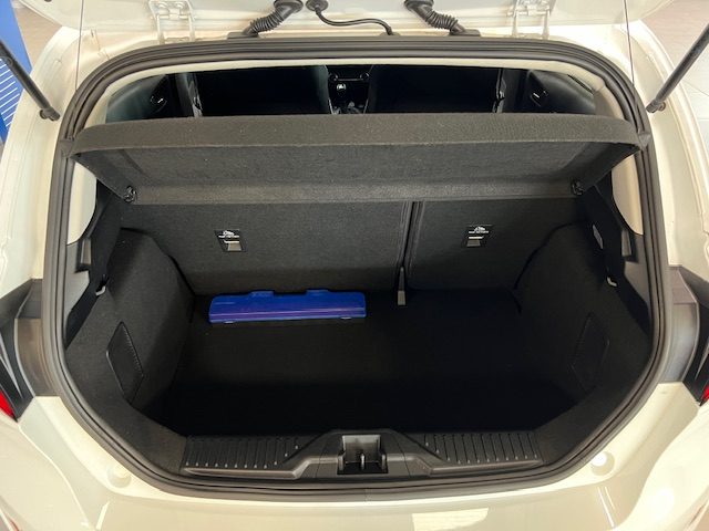 FORD Fiesta usata, con Vetri oscurati