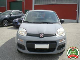 FIAT Panda usata, con Airbag Passeggero