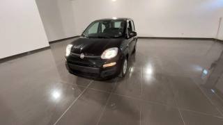 FIAT Panda 1.0 FireFly S&S Hybrid Pandina