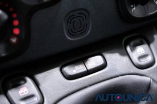 FIAT Panda usata 24