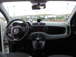FIAT Panda usata 20