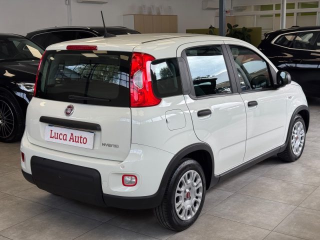 FIAT Panda usata, con Alzacristalli elettrici