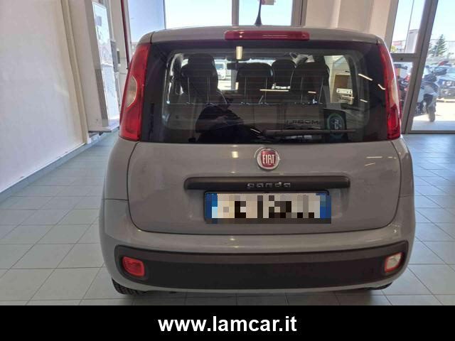 FIAT Panda usata 9