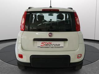 FIAT Panda usata 17