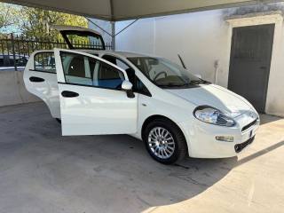 FIAT Punto usata, con Servosterzo