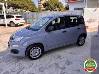 FIAT Panda usata, con Alzacristalli elettrici