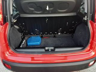 FIAT Panda usata 13