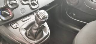 FIAT Panda usata 10
