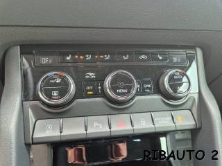 SKODA Karoq usata, con Touch screen