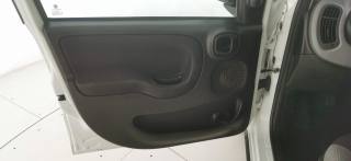 FIAT Panda usata 38