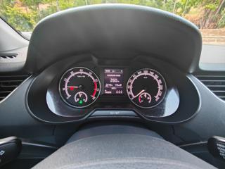 SKODA Octavia usata, con Fendinebbia