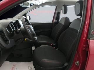 FIAT Panda Cross usata 15