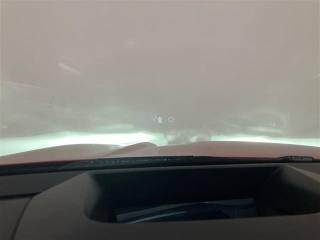 RENAULT Austral usata 29