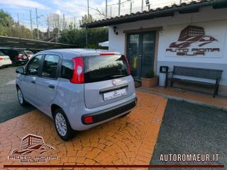 FIAT Panda usata, con Airbag Passeggero