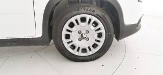 FIAT Panda usata, con Volante multifunzione