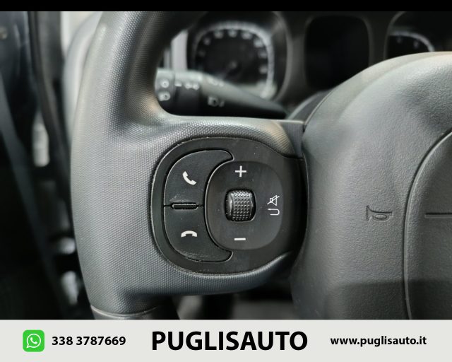 FIAT Panda Cross usata, con Servosterzo