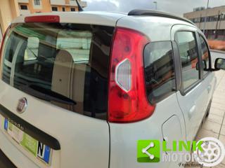 FIAT Panda usata 11