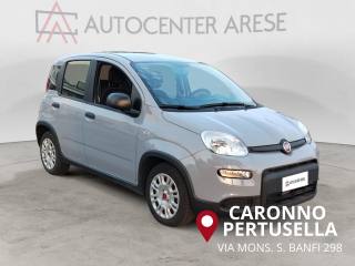 FIAT Panda usata, con Chiusura centralizzata