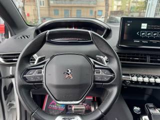 PEUGEOT 3008 usata, con Servosterzo