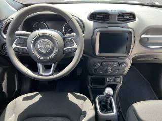 JEEP Renegade usata, con Cruise Control