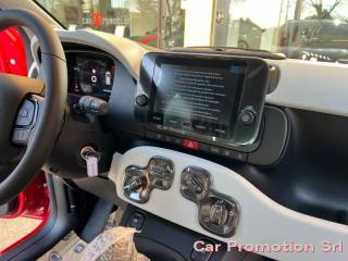 FIAT Panda Cross usata, con Fendinebbia