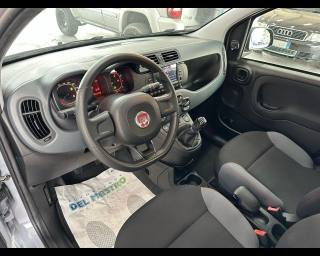 FIAT Panda usata, con Airbag testa