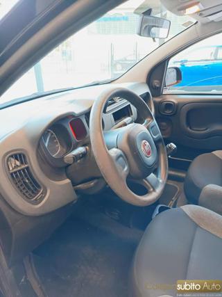 FIAT Panda usata 17