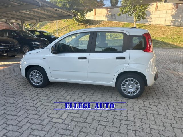 FIAT Panda usata, con Controllo trazione