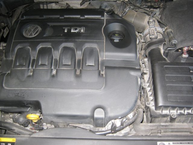 VOLKSWAGEN Golf usata, con Bracciolo