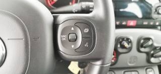 FIAT Panda usata 68
