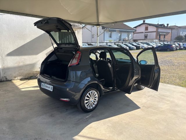 FIAT Punto usata 42
