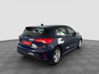 FORD Focus usata 4