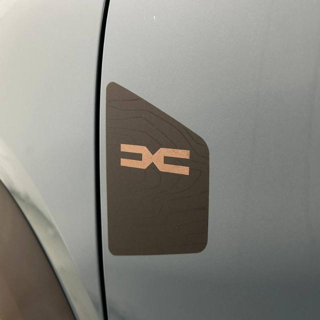 DACIA Spring usata, con Fari direzionali