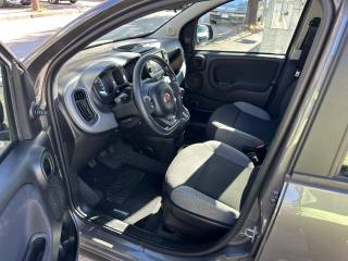 FIAT Panda usata, con Controllo trazione