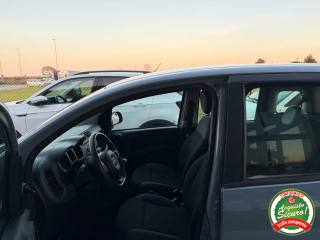 FIAT Panda usata, con ESP