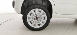 FIAT Panda usata, con Vivavoce