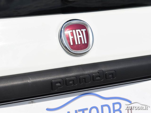 FIAT Panda usata 35