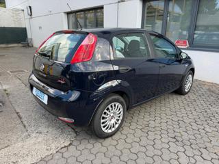 FIAT Punto usata, con Alzacristalli elettrici