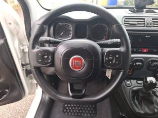FIAT Panda usata, con Servosterzo