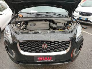 JAGUAR E-Pace usata, con Volante in pelle