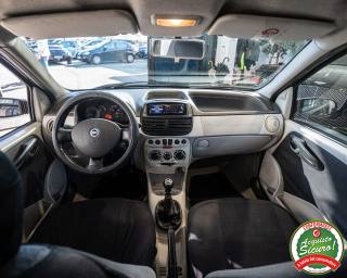 FIAT Punto usata, con Fendinebbia