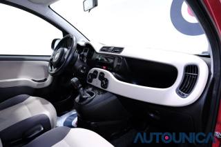 FIAT Panda usata 49