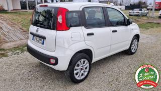 FIAT Panda usata, con Controllo trazione