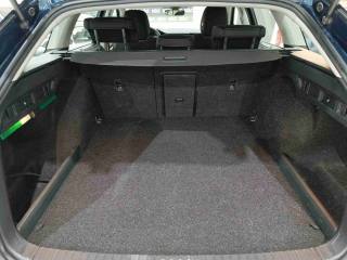 SKODA Octavia usata, con Fendinebbia