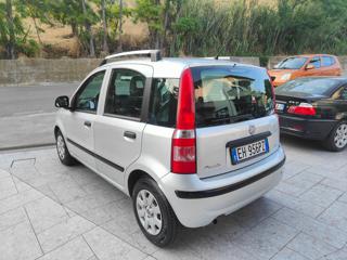 FIAT Panda usata, con Fendinebbia