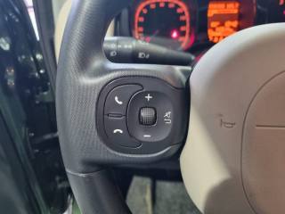 FIAT Panda usata, con Fendinebbia