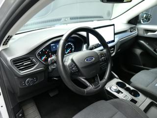FORD Focus usata, con Controllo trazione