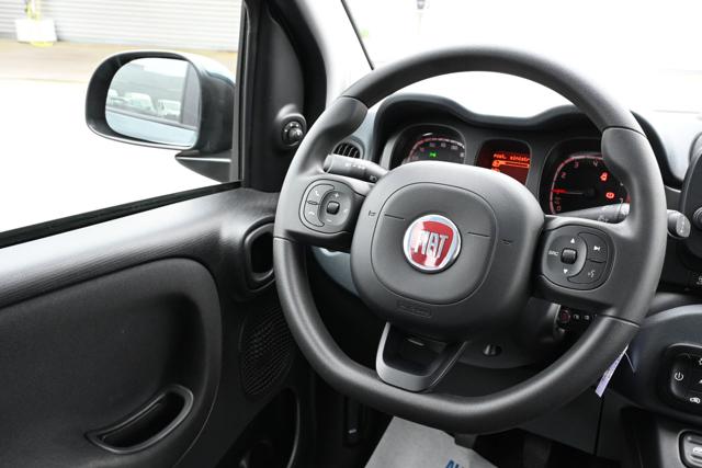 FIAT Panda Cross usata, con Controllo vocale