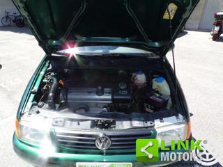 VOLKSWAGEN Polo usata 38